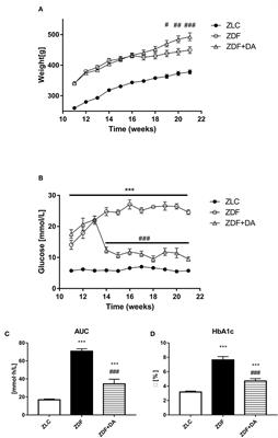 Dapagliflozin Attenuates Hyperglycemia Related Osteoporosis in ZDF Rats by Alleviating Hypercalciuria